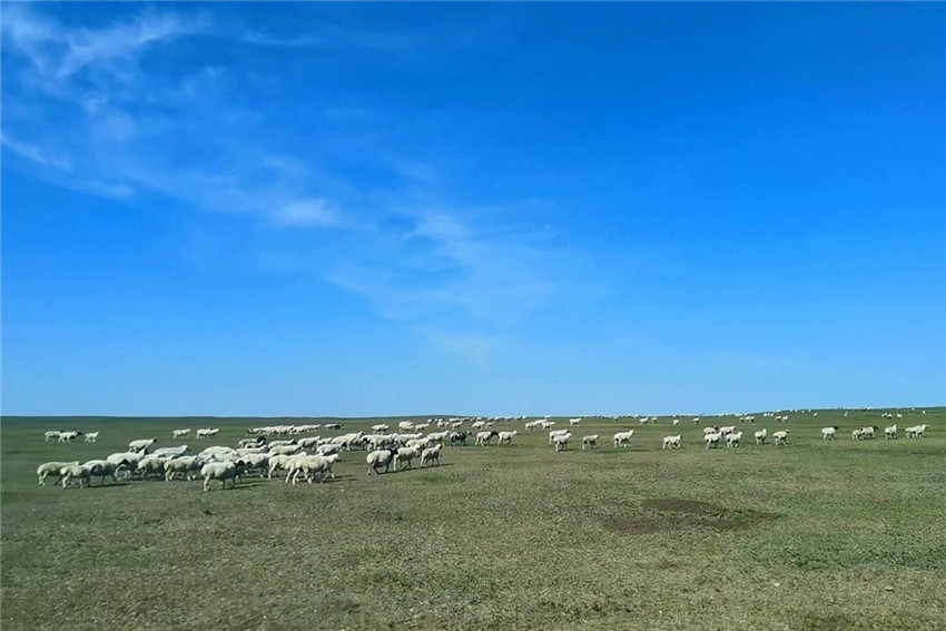 2022年9月初,內(nèi)蒙古.jpg 2022年9月初,內(nèi)蒙古.jpg