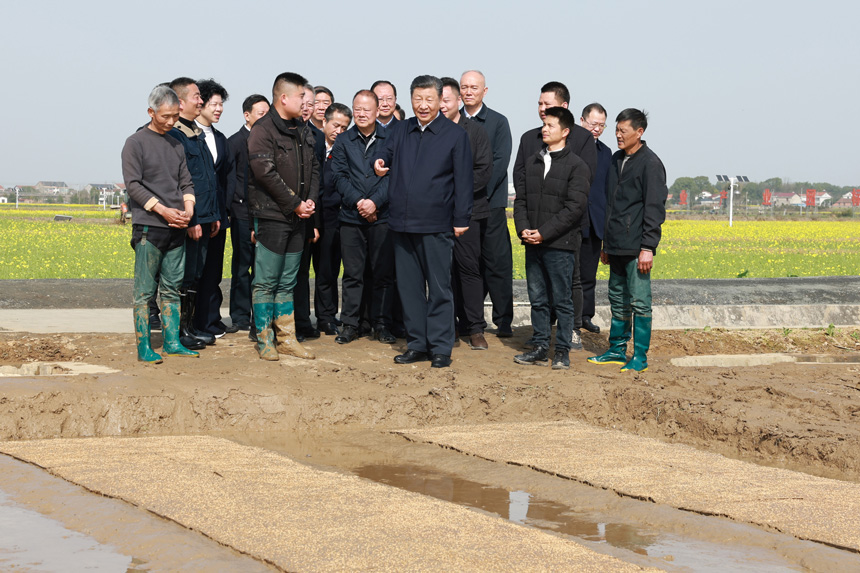2024年3月18日至21日，中共中央總書記、國家主席、中央軍委主席習(xí)近平在湖南考察。這是19日下午，習(xí)近平在常德市鼎城區(qū)謝家鋪鎮(zhèn)港中坪村走進(jìn)田間，察看秧苗培育和春耕備耕進(jìn)展。新華社記者 王曄 攝